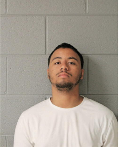 DORIAN E ARNOLD, Cook County, Illinois