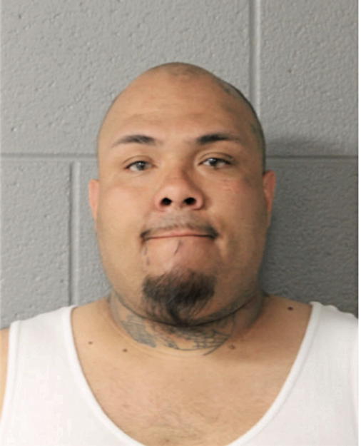 JOSE C ARRIAGA, Cook County, Illinois