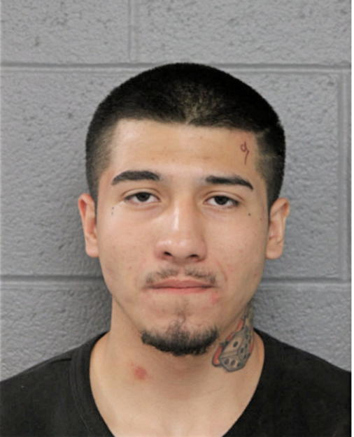 ISSAC AVILES, Cook County, Illinois