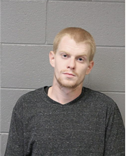 RYNE J BARTOLUCCI, Cook County, Illinois