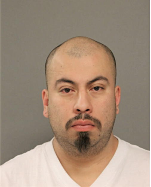 LEONIDES BELTRAN, Cook County, Illinois