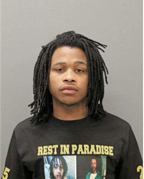 MICHAEL L BLANDON, Cook County, Illinois