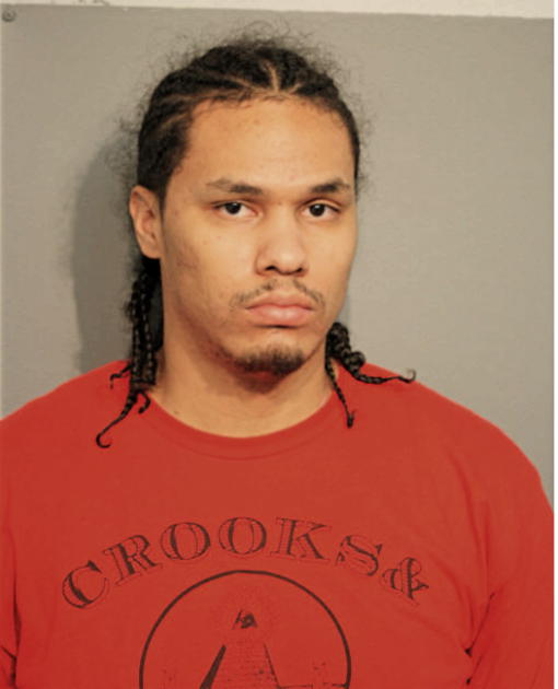 NICHOLAS M BRADBURY, Cook County, Illinois