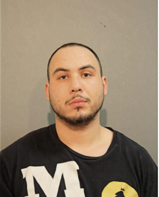DAVID A BROWN, Cook County, Illinois