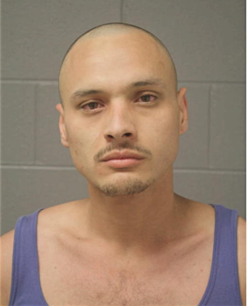 DAVID C CEVALLOS, Cook County, Illinois