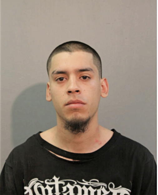 LEONARDO D CORONEL, Cook County, Illinois