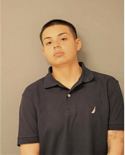 MELISSA S CORRAL, Cook County, Illinois