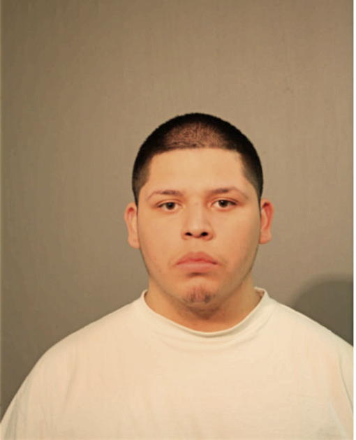 DAVID K FLORES, Cook County, Illinois