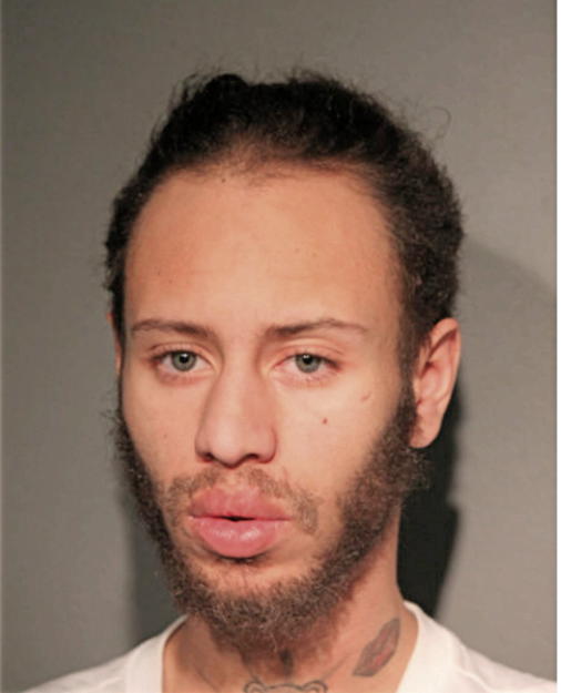 NICHOLAS J GRADY, Cook County, Illinois
