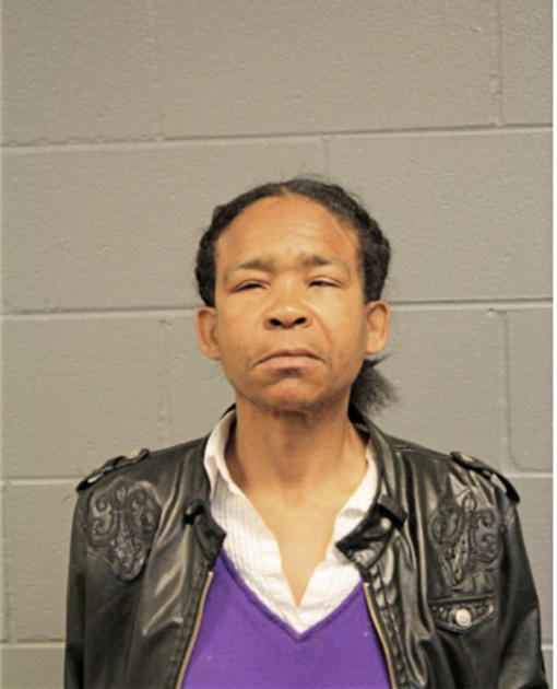 DOROTHY E HAIRSTON, Cook County, Illinois