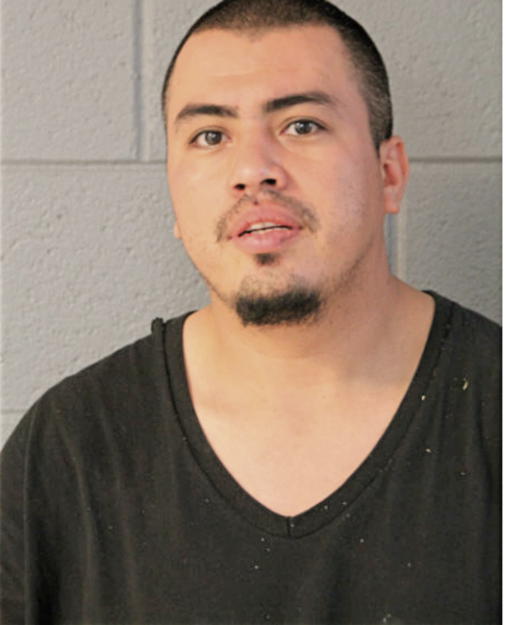 JUAN J CISNEROS, Cook County, Illinois
