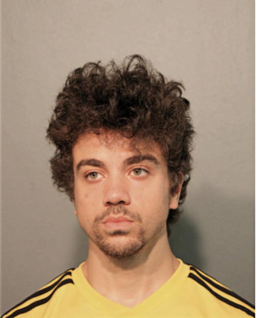 NIKKO C LOCANDER, Cook County, Illinois