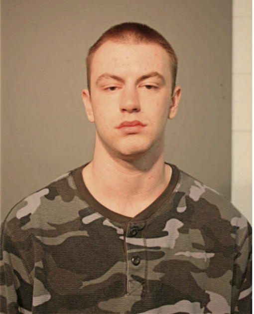 NICHOLAS J LOVETT, Cook County, Illinois