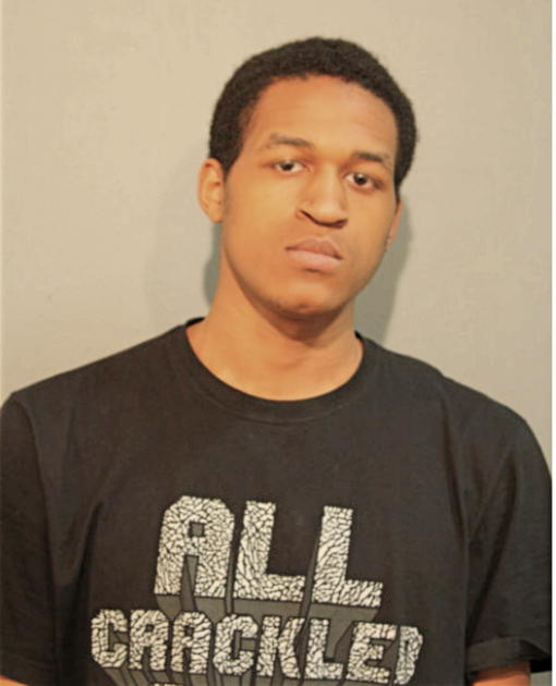ROMEL D MATTHEWS, Cook County, Illinois