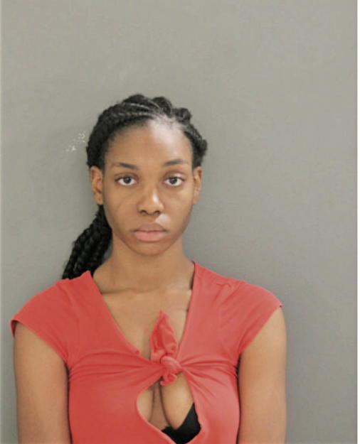 BRIANA C MCGEE, Cook County, Illinois