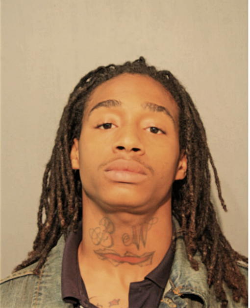 TERRENCE E MCKINNIS, Cook County, Illinois