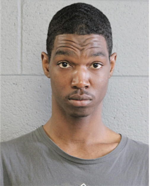 CALVIN L MOFFETT, Cook County, Illinois