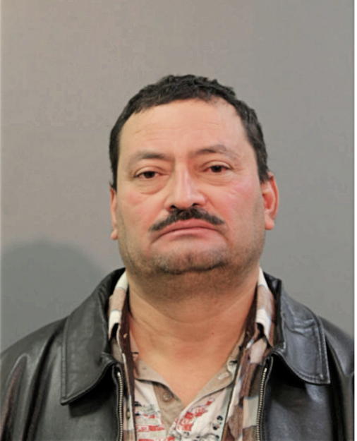 LUIS A MORAN, Cook County, Illinois
