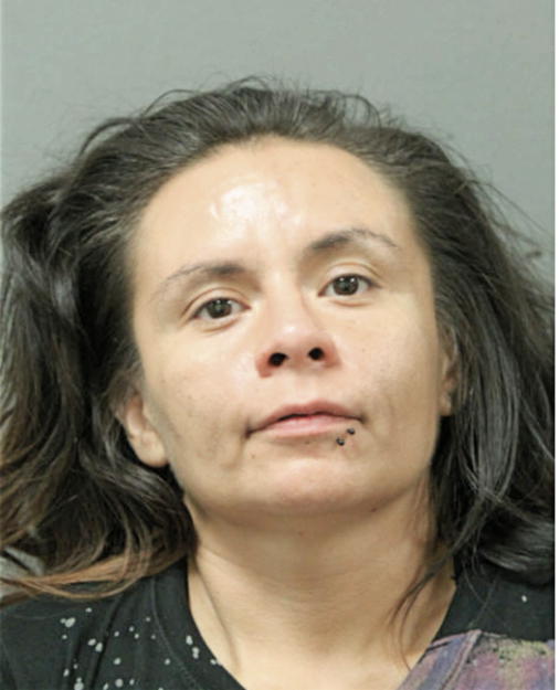 ANA LUZ MORENO, Cook County, Illinois