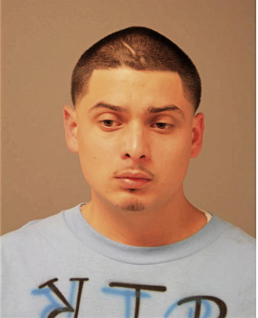JOSE G PATINO, Cook County, Illinois