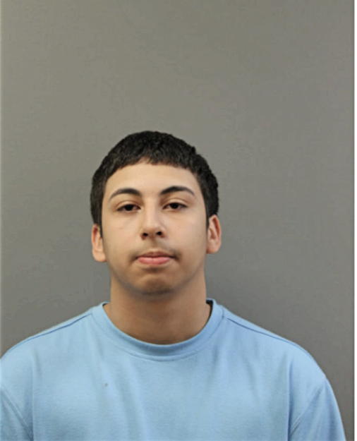JUAN FERNANDEZ PENA, Cook County, Illinois