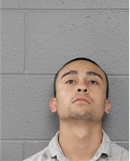 ENRIQUE M RIVERA, Cook County, Illinois