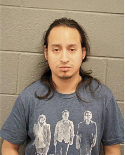 ANDRES ROJAS, Cook County, Illinois
