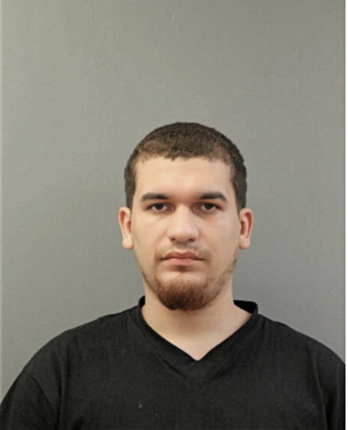 ALEXANDER SANCHEZ, Cook County, Illinois