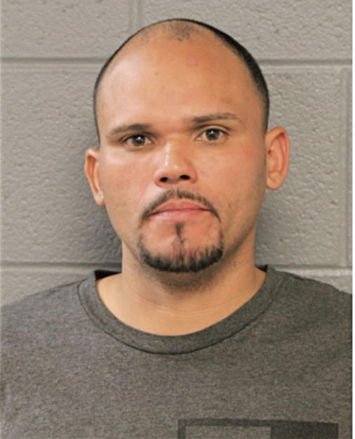 RENE SANTIAGO-MALAVE, Cook County, Illinois
