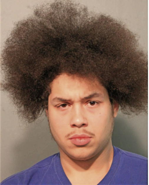 ELIJAH E TORRES, Cook County, Illinois