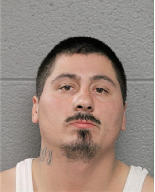 LUIS E VILLASENOR, Cook County, Illinois