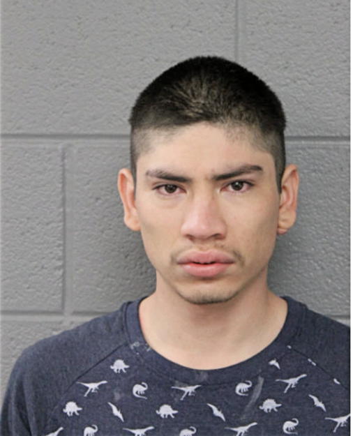 MIGUEL ALTERES, Cook County, Illinois