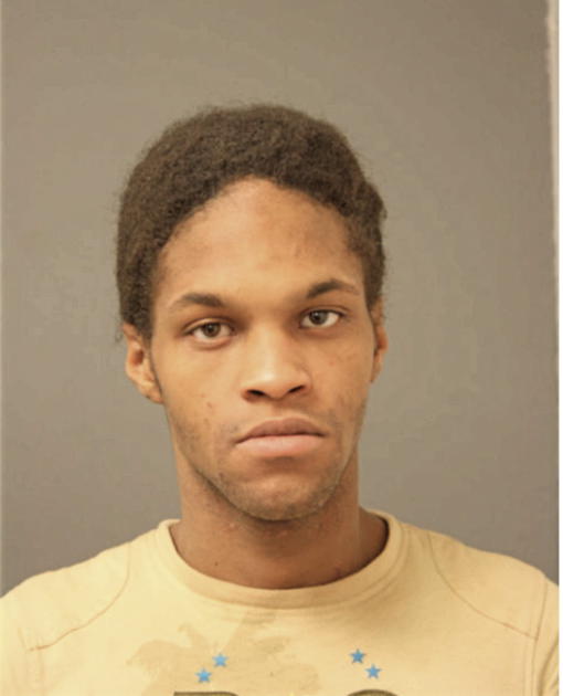 DEVIN J BELL, Cook County, Illinois