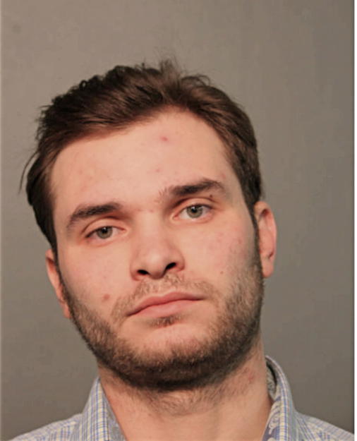 ELVEDIN BLAZEVIC, Cook County, Illinois