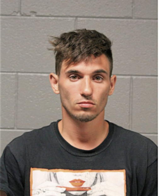 TAYLOR EGAN, Cook County, Illinois