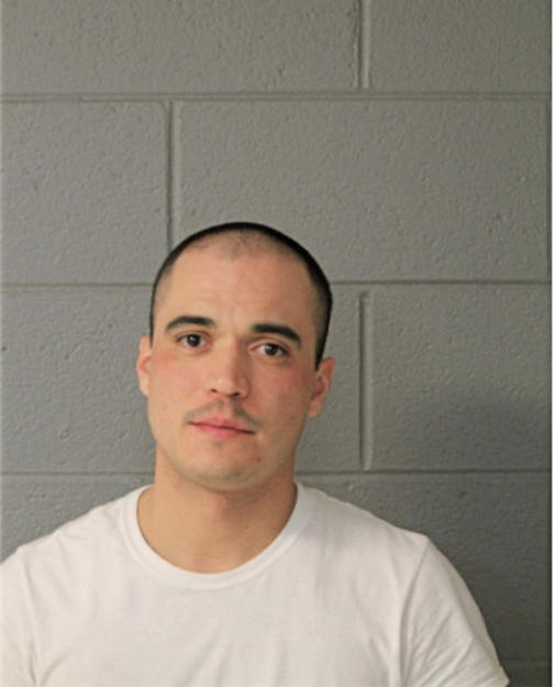 DANIEL A FERRER, Cook County, Illinois