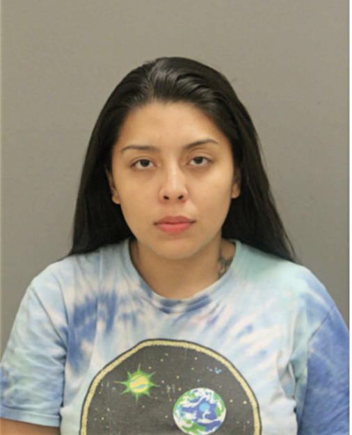 KAHOY D GARCIA VALEZQUEZ, Cook County, Illinois