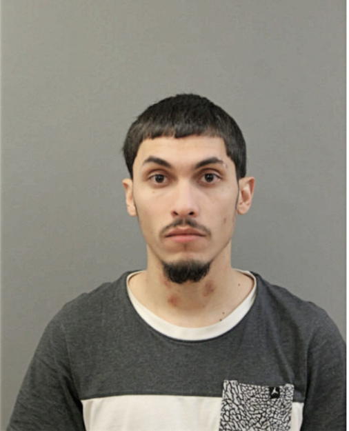 JOSE A GONZALEZ, Cook County, Illinois