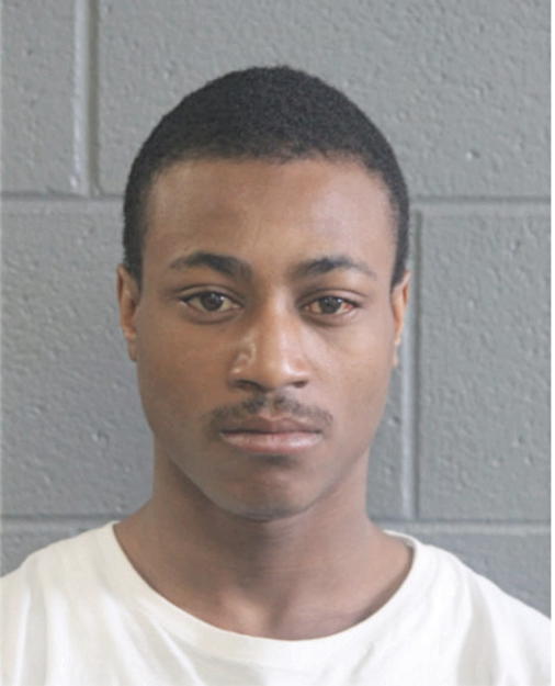 DARYL D JOHNSON, Cook County, Illinois