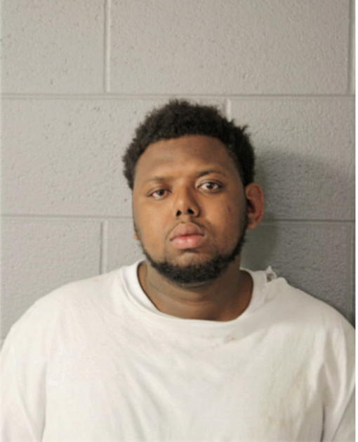DAVID T LEWIS, Cook County, Illinois