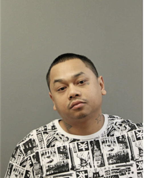 ANH LU, Cook County, Illinois