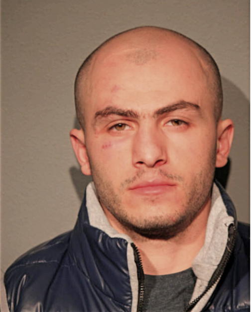 ARTHUR MIRZAKHANYAN, Cook County, Illinois