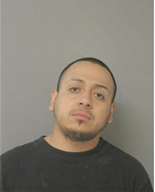 JOE A MOYA, Cook County, Illinois