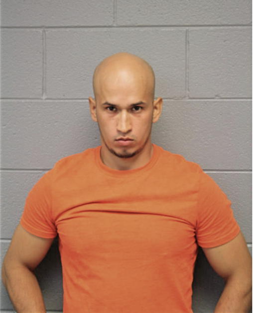 IVAN NAVARRO-LAGUNAS, Cook County, Illinois