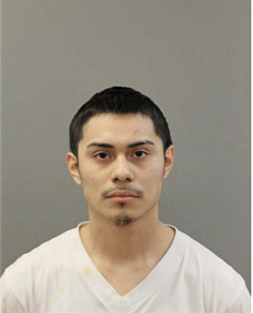 FABIAN OCAMPO, Cook County, Illinois