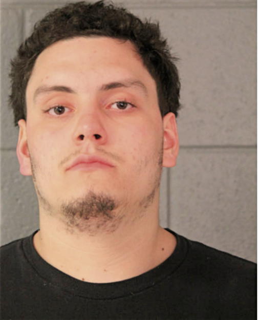 ANTHONY ROSALES, Cook County, Illinois