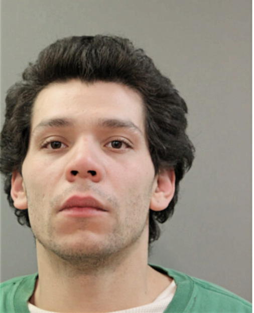 STEVEN A SALAZAR, Cook County, Illinois