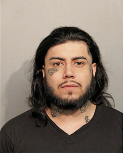 MICHAEL J STRONG, Cook County, Illinois