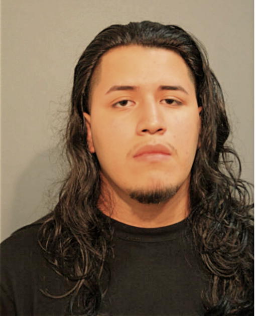 ANTONIO L VEGA, Cook County, Illinois