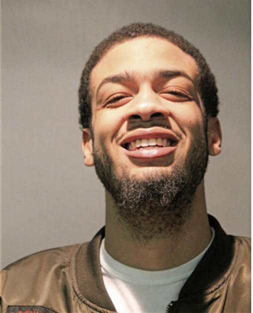 MALIK G WILLIAMS-FITZPATRICK, Cook County, Illinois